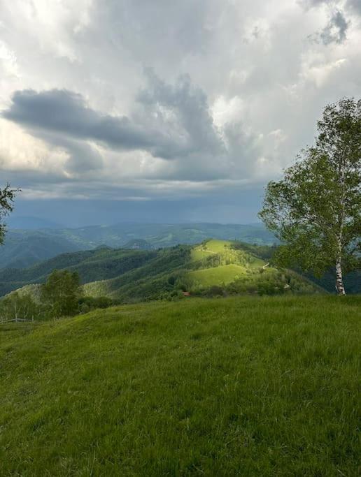 Hanul Cu Mesteceni Bosorod Exterior photo